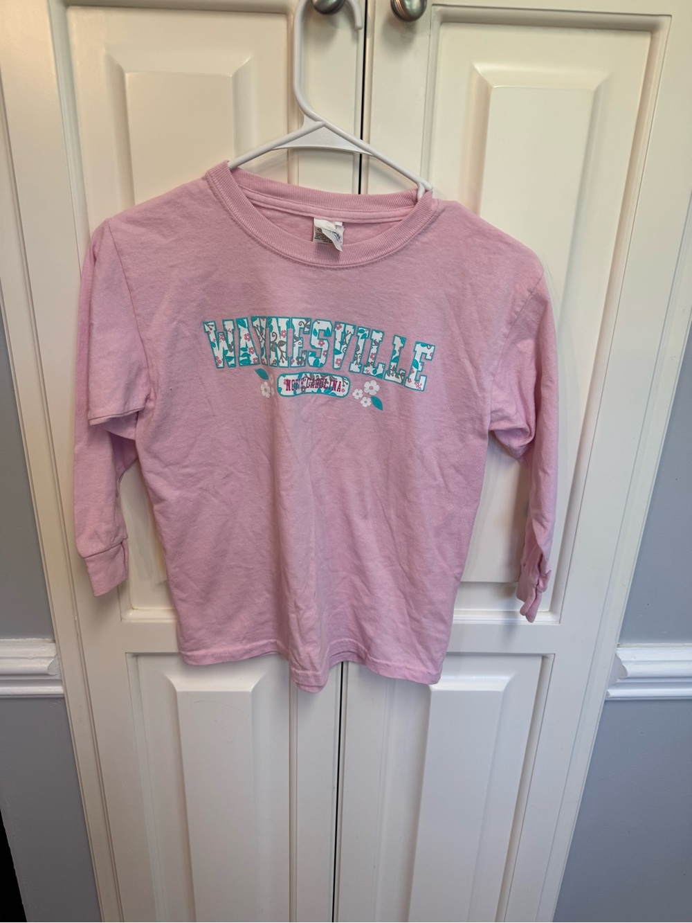 Gildan Light Pink Long-Sleeve Graphic Tee with Teal Accent